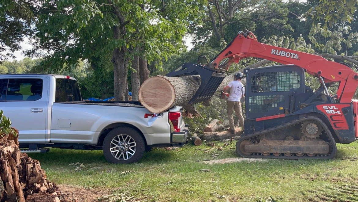 Storm Damage Cleanup: Restoring Your Property with Tree Care Professionals